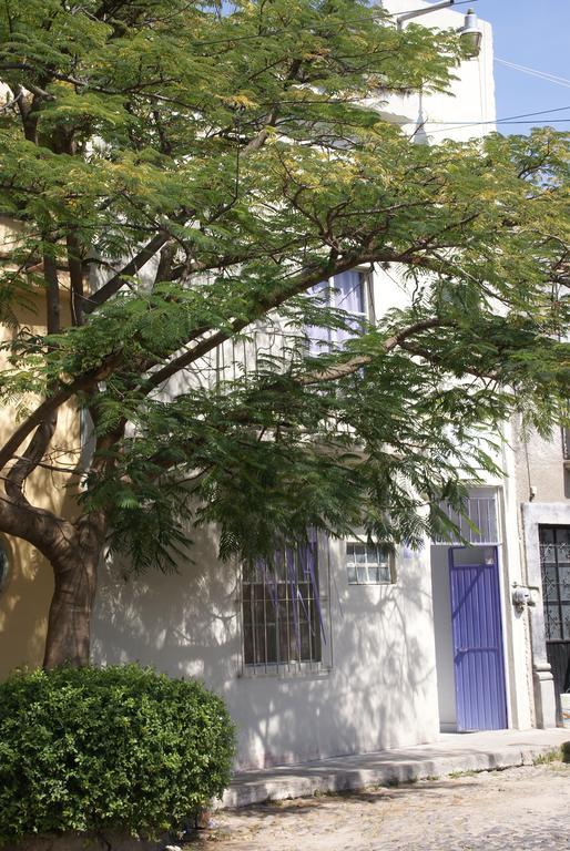 Hotelitto San Miguel Σαν Μιγκέλ ντε Αγιέντε Εξωτερικό φωτογραφία